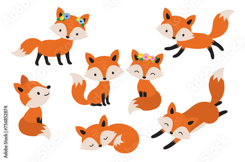 Cute fox couple cartoon vector illustration set. Foxes in various poses such as standing  sitting  and sleeping.
