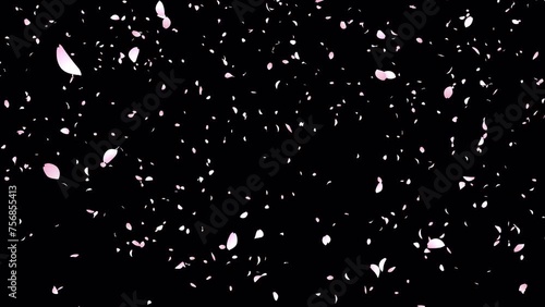 桜吹雪のアニメーション　アルファチャンネル付き　上から下にまっすぐ舞い散るバージョン