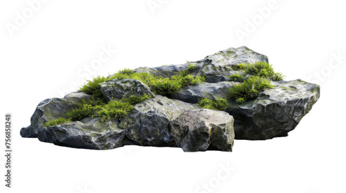 A lush patch of green moss vividly thriving atop a rugged rock formation showcases a juxtaposition of soft and hard textures