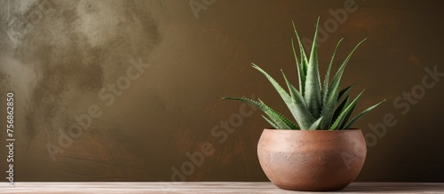A houseplant in a flowerpot, a potted aloe vera plant, is placed on a wooden table in a room, adding a touch of greenery to the hardwood flooring