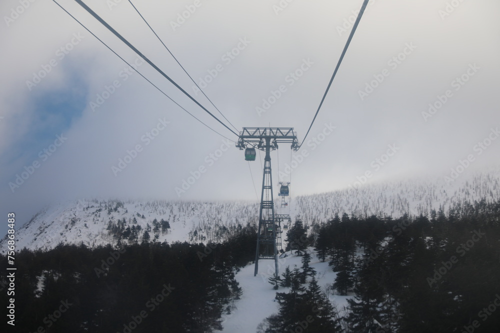 Zao Snow Monsters in Japan.