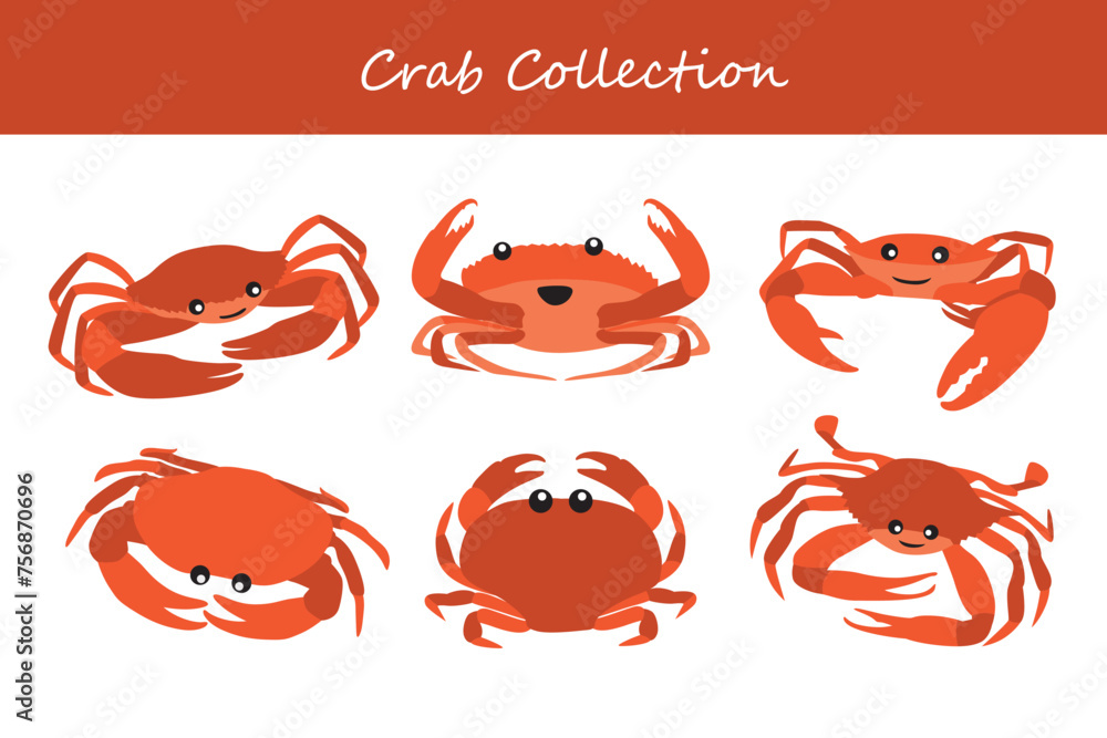 crab vector illustration set. Cute crab isolated on white background. crab vector illustration set. Cute crab isolated on white background.