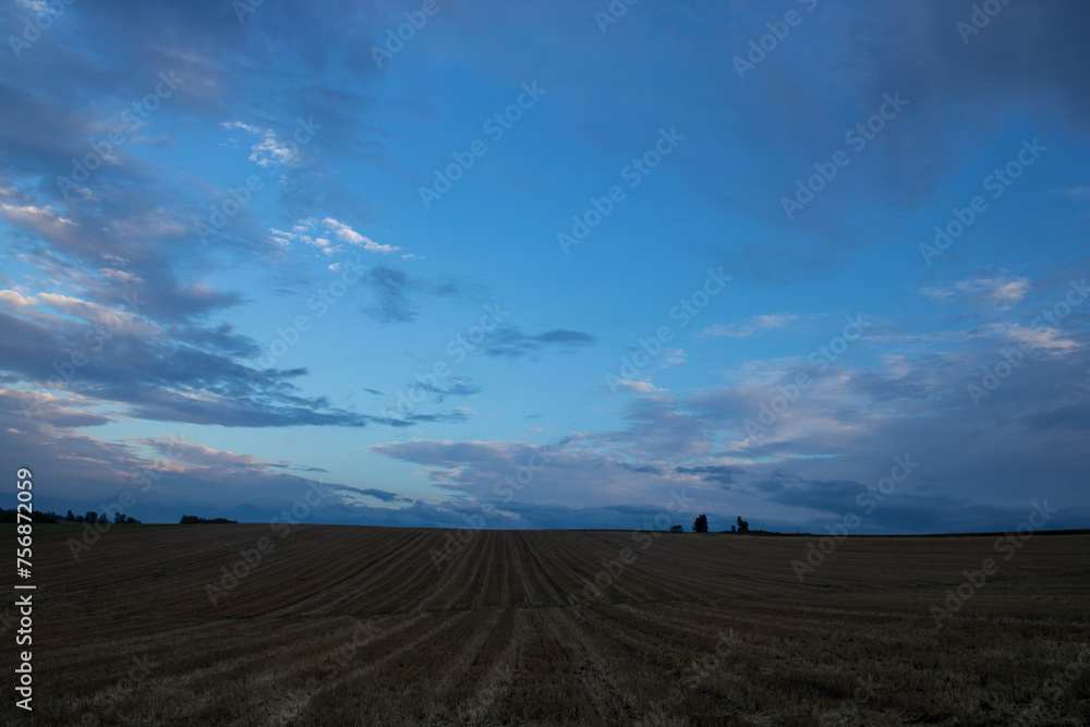 Fototapeta premium 夕暮れの丘と青空 