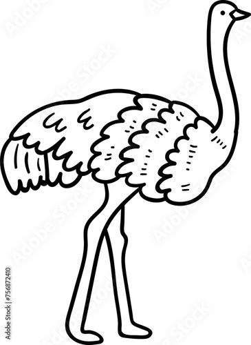 ostrich