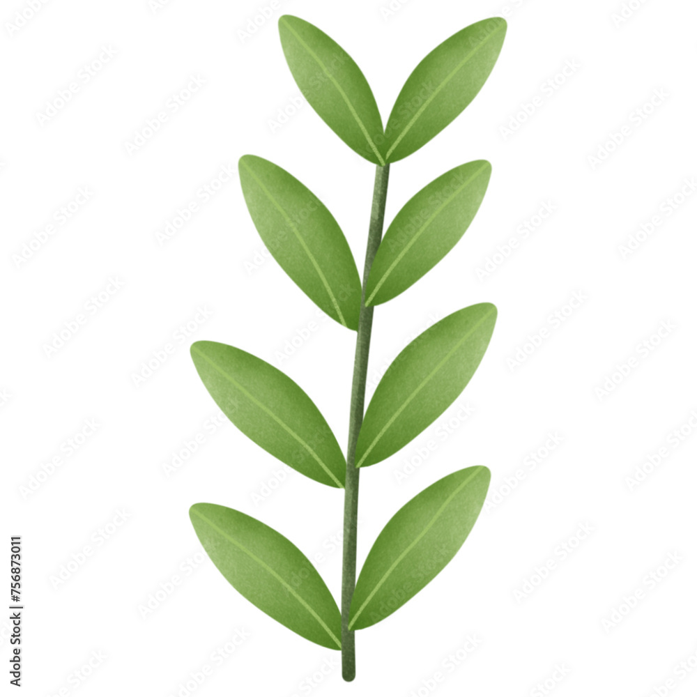 Leafs Leafs