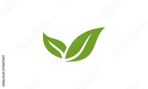 green leaf icon © Niar