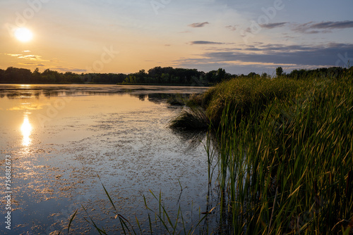 Fototapeta Naklejka Na Ścianę i Meble -  warm and cozy sunset over a wetland lake
