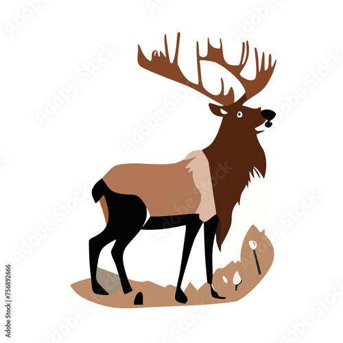 scandinavian animals forest dwellers nordic - Deer