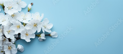A beautiful natural landscape with a bunch of white flowers against an electric blue sky. The delicate petals and green twigs contrast with the vibrant background