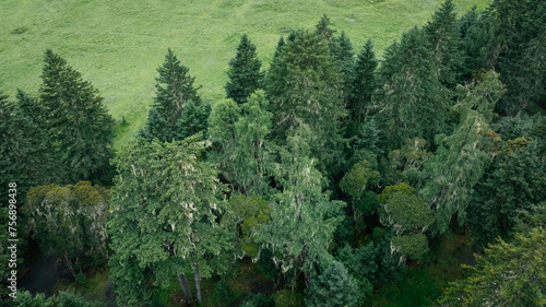 Aerial footage of beautiful high altitude forest mountain landscape