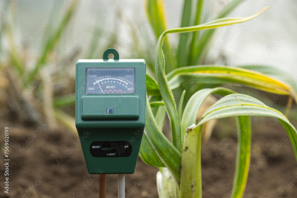 Soil moisture meter placed in garden, surrounded by plants - obrazy, fototapety, plakaty 