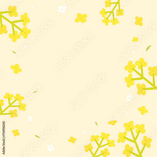 Vector canola flowers background illustration