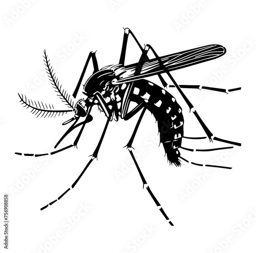 Mosquito Silhouette vector illustration © hyam