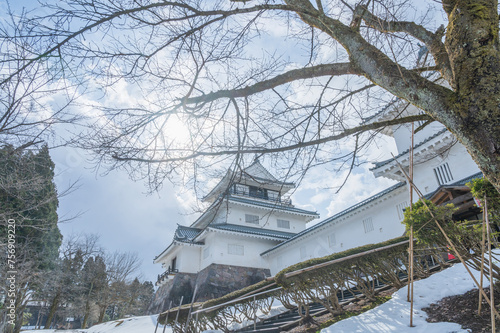 Wallpaper Mural 新潟　悠久山公園（長岡市） Torontodigital.ca