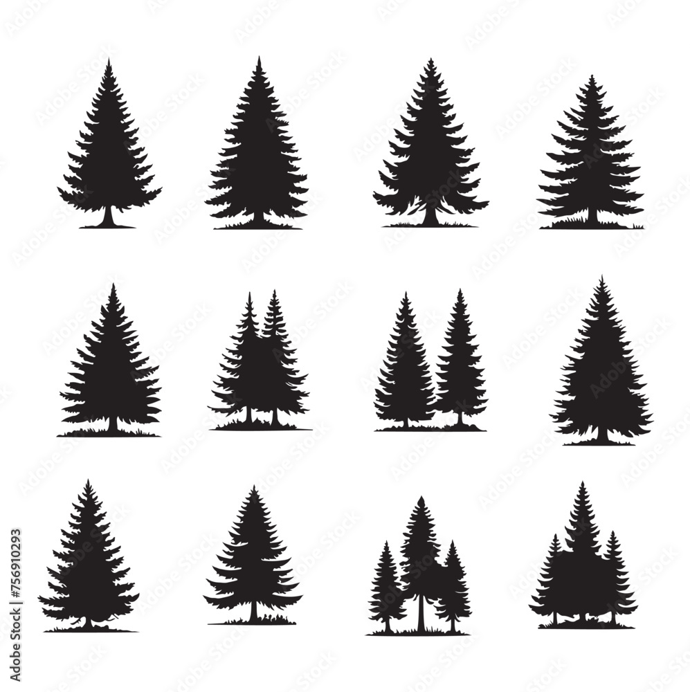 set of pine tree silhouettes on white set of pine tree silhouettes on white
