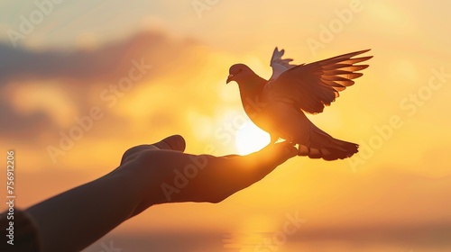 Hand silhouette with incoming pigeon sunrise light Symbolizing freedom merit and faith