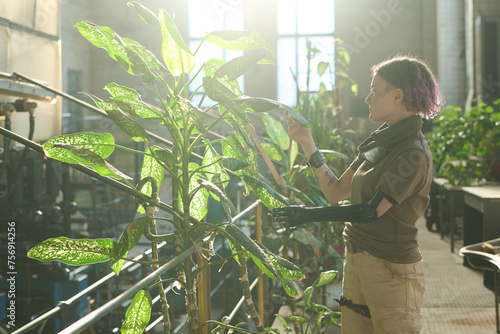 Canvas-taulu Side view shot of young woman with prosthetic arm taking care of plants in post-