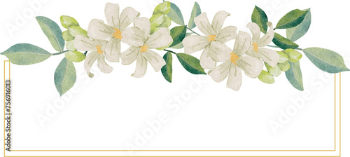 Fototapeta Naklejka Na Ścianę i Meble -  watercolor white murraya orange jasmine flower bouquet wreath badge gold frame