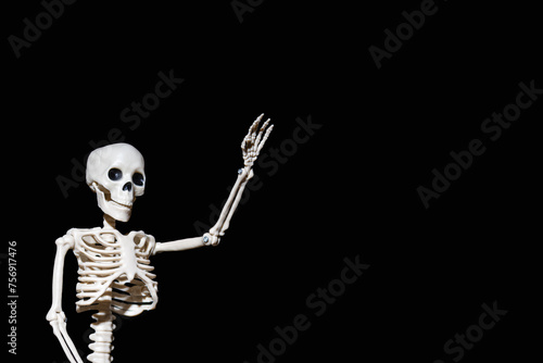 Human Skeleton waving greeting hand isolated on black background. Life after death. Hello Halloween.