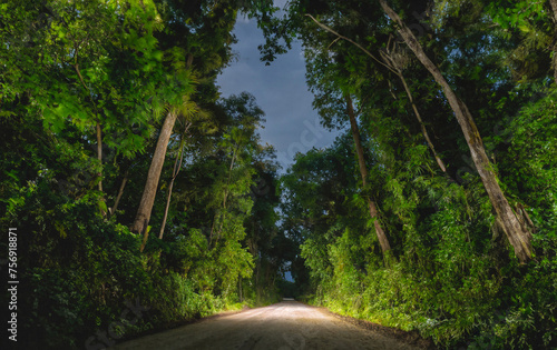 Road in the forest at night, Phuket, Thailand.