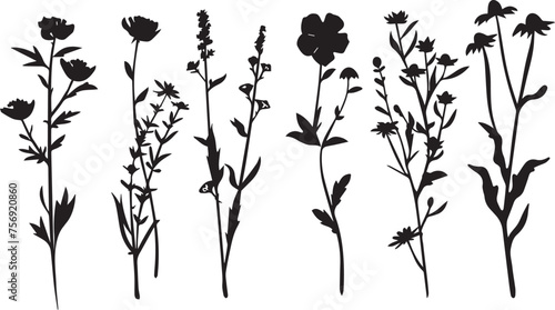 Black flowers signs, flower icons on white background
 #756920860