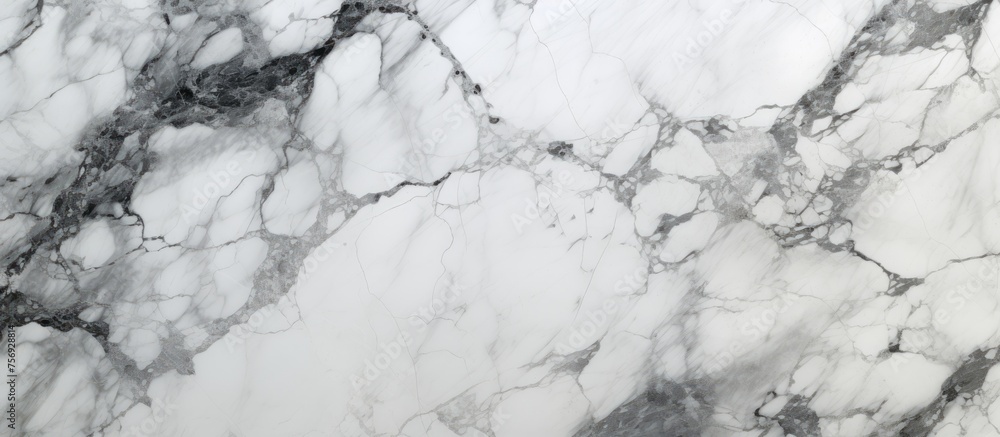 A detailed view of a white marble texture resembling black veins, creating a stunning pattern reminiscent of a natural landscape in freezing weather - obrazy, fototapety, plakaty 