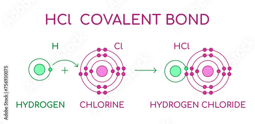 HCl Hydrogen Chloride covalent bond. Diatomic molecule, consisting of a hydrogen atom H and a chlorine atom Cl. Hydrochloric acid in a liquid state. Lewis atomic structure. Vector illustration.  photo