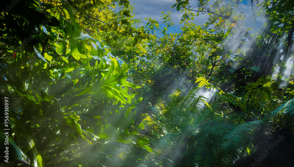 The Tropical jungle with river and sun beam and foggy in the garden. The Tropical jungle with river and sun beam and foggy in the garden.