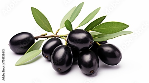 Olive branch featuring black olives  isolated on a white background.