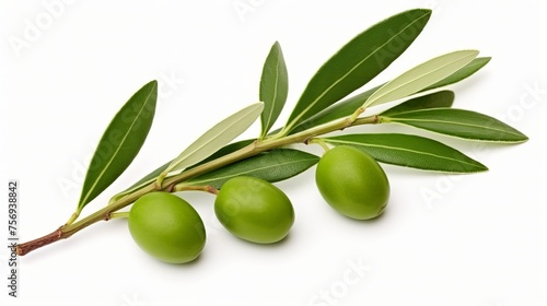 Olives on a branch with leaves, displayed in isolation on a white background.