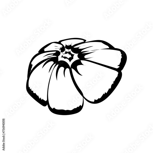 Blüte