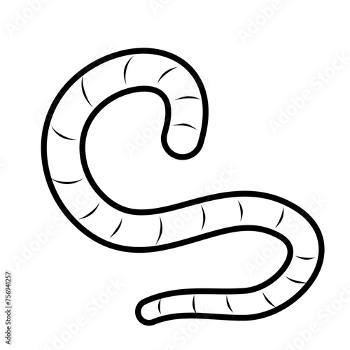 Eartworm Flat Outline Doodle Illustration  photo