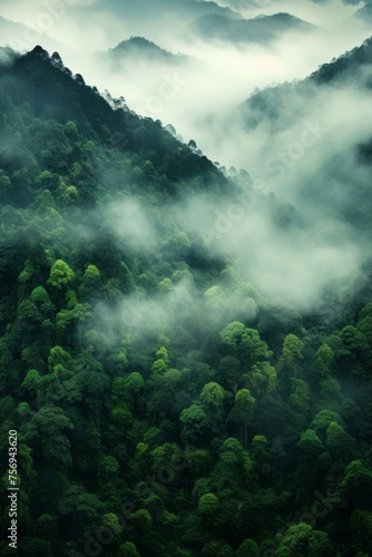A green forest with mountains and trees is captured in panoramic scale, multiple exposure creating a moody and atmospheric scene.