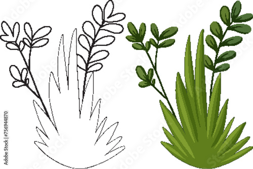 Black and white and colored plant graphics
