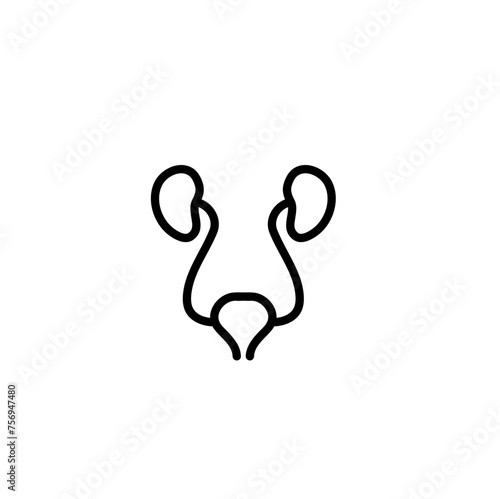 Anatomy And Organs Line Icons