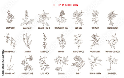 Bitter plants collection