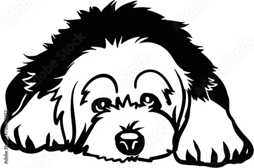 Old English Sheepdog - Lying Dog, Funny dog Cut File for cricut clipart