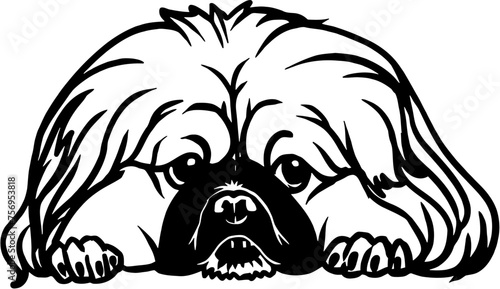 Pekingese - Lying Dog, Funny dog Cut File for cricut clipart