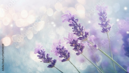 A soft-focus artistic image featuring a cluster of delicate lavender flowers against a dreamy  pastel-colored background  Ai Generate 
