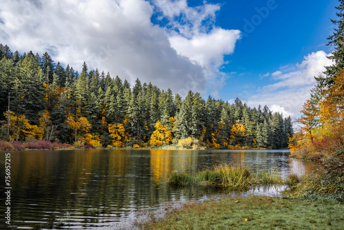 Picturesque autumn landscape of Lake Lacamas with a strip of yellowed trees on the shore with red bushes and tall green spruces resting against the clouds