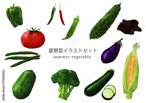 夏の季節野菜のイラストセット（Illustrator）