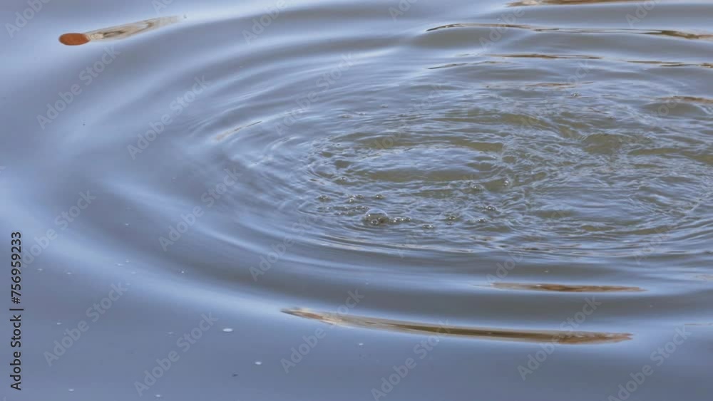 Ripples Expanding on Water Surface Ripples Expanding on Water Surface
