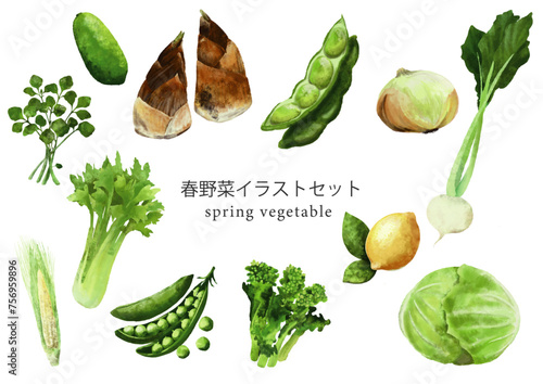 春の季節野菜のイラストセット（Illustrator）