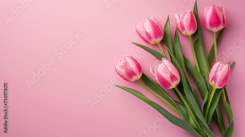 Tulips flower on pink background with beautiful tulips Generated Ai #756978011