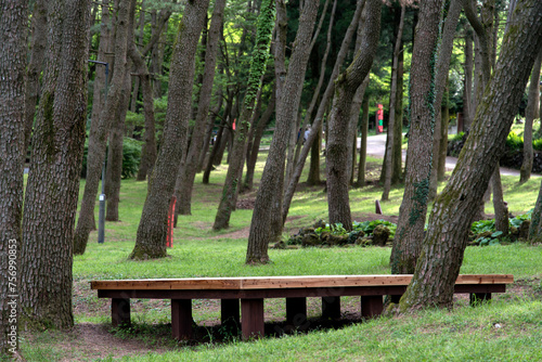 View of the low wooden table in the forest