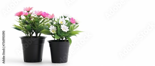 Fake flower pot on white background