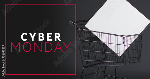 Image of cyber monday text over shopping trolley