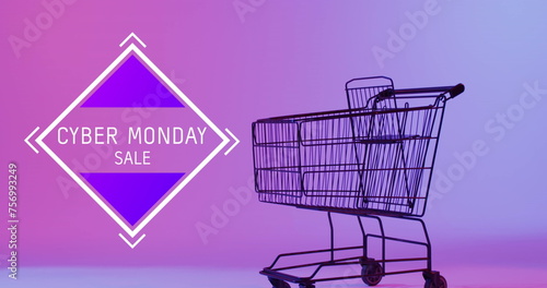 Image of cyber monday sale text over shopping trolley