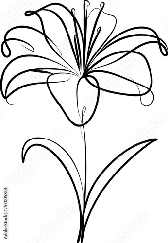 Spring flower  lily of the valley  with delicate white blooms isolated on white background  abstract slower  drawing line art