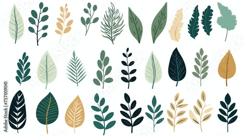 Leaves Set Illustration in Retro Style flat vector